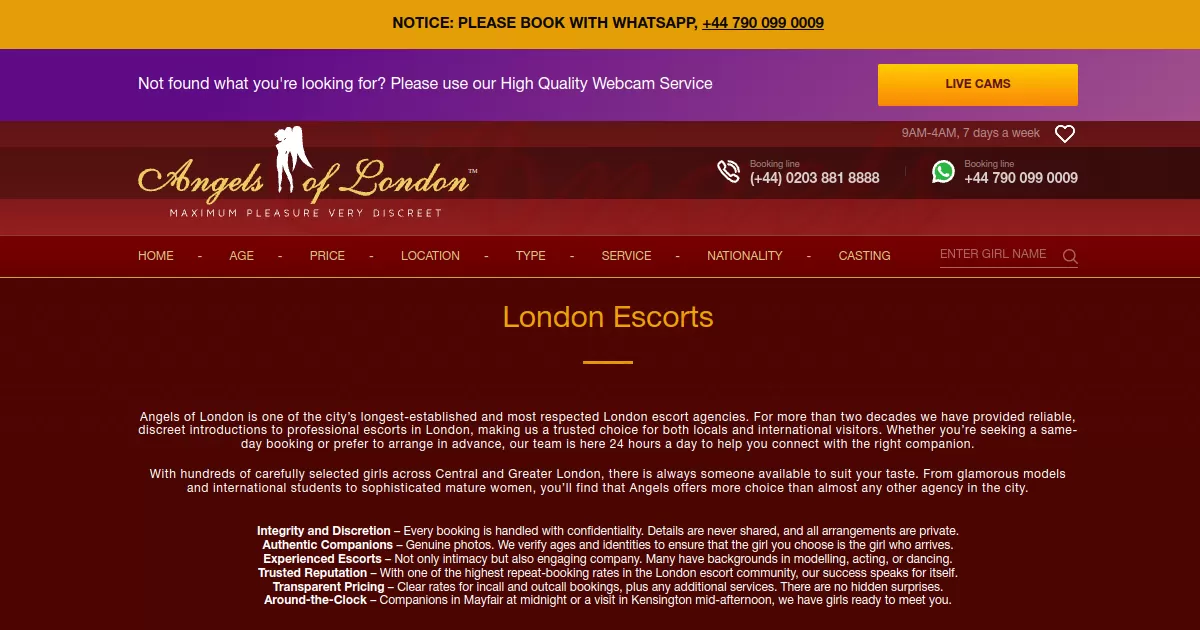 Angels Of London screenshot
