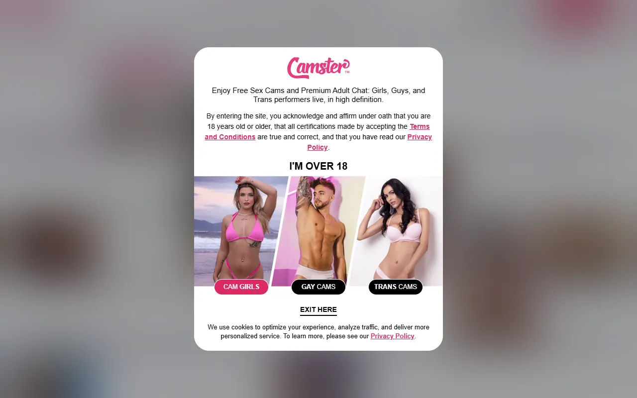 Camster screenshot