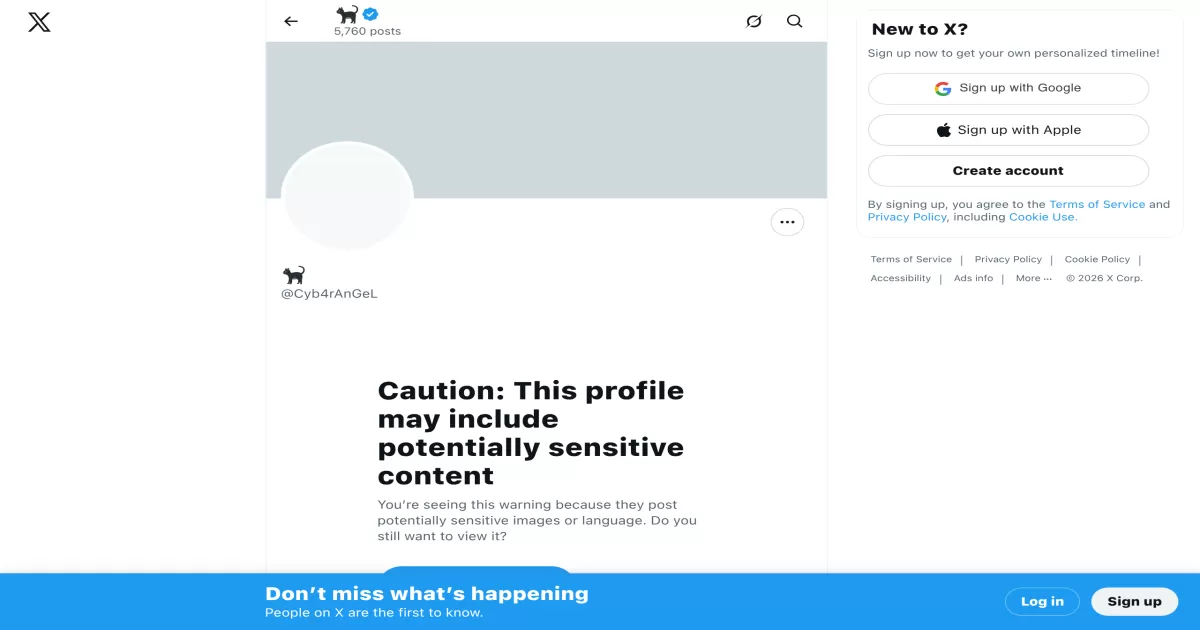 Cyb4rAngel screenshot