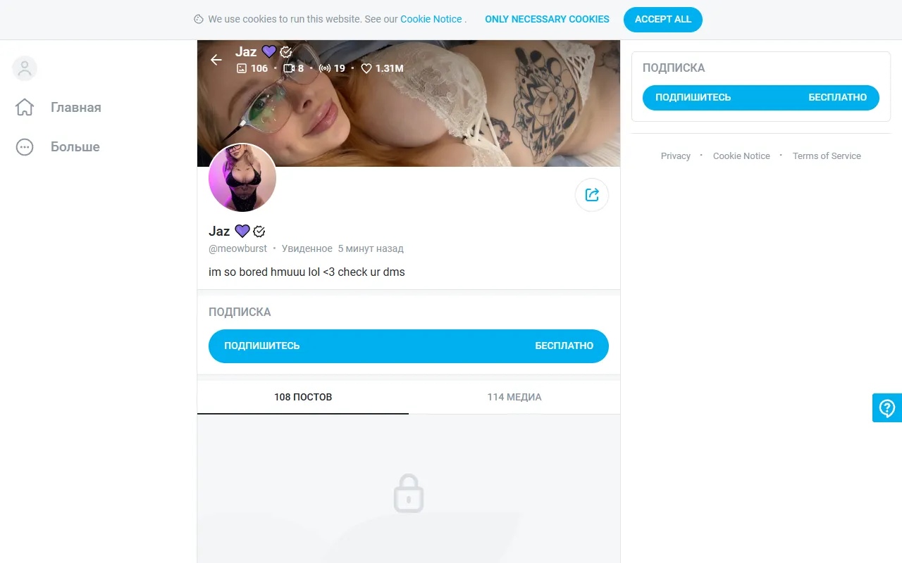 MeowBurst screenshot