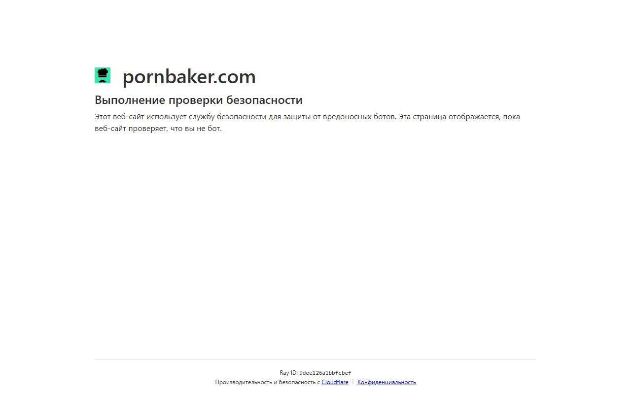 PornBaker screenshot