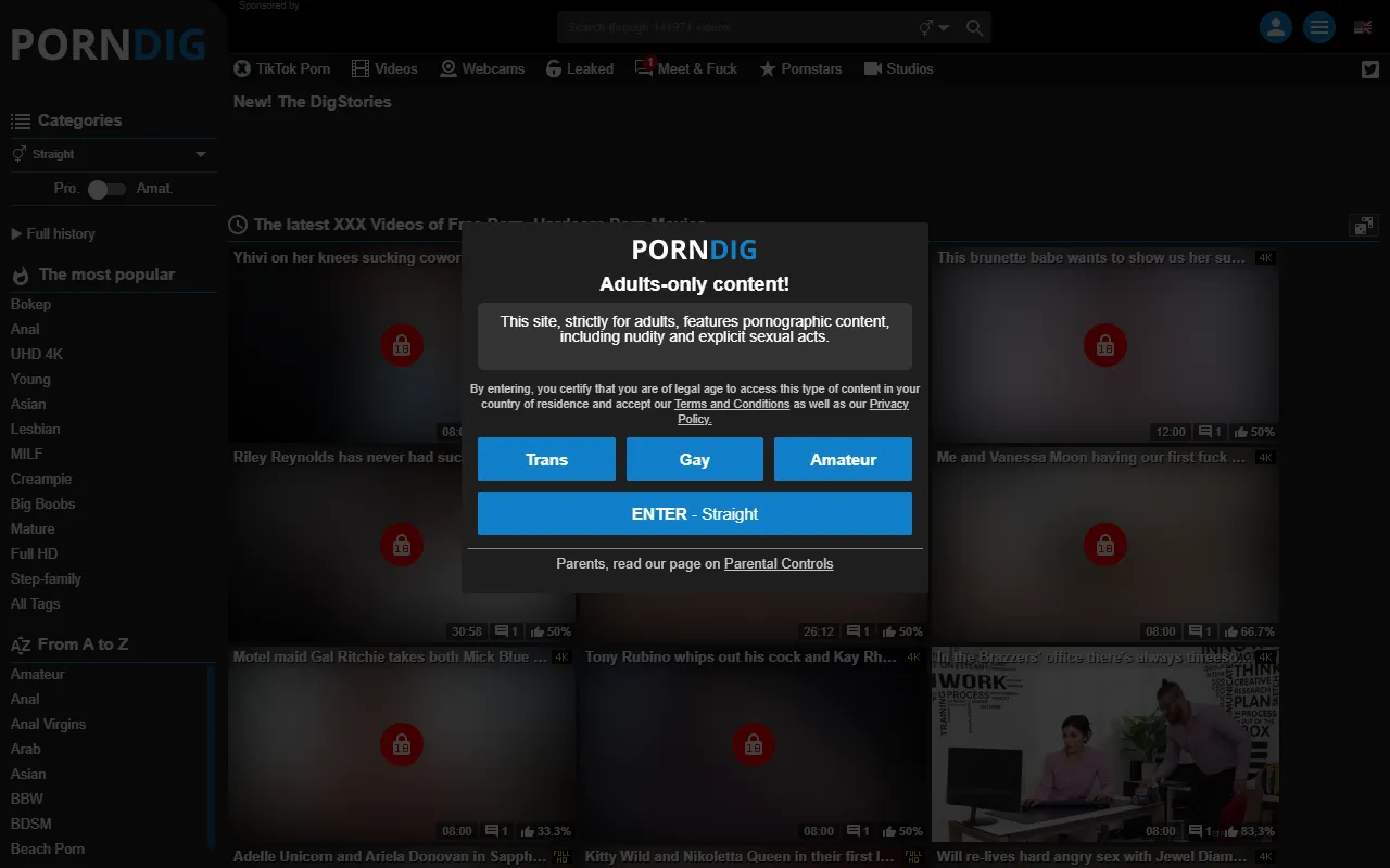 PornDig screenshot