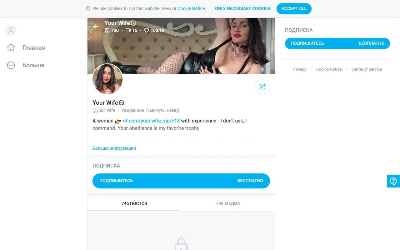 Your Wife screenshot